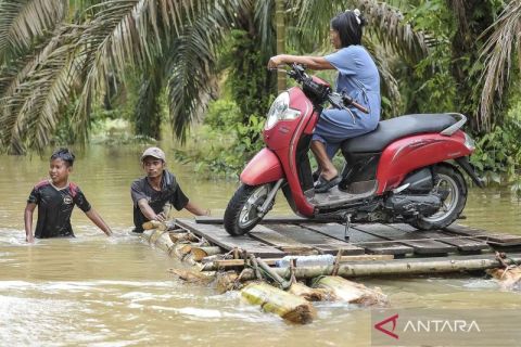 Warga gelar persewaan rakit penyeberangan saat banjir luapan Sungai Batanghari
