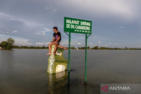 Dampak Jebolnya tanggul Sungai Tuntang, banjir Grobogan meluas ke wilayah barat