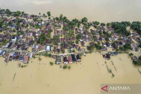 Tujuh kabupaten/kota di Jambi terendam banjir luapan Sungai Batanghari