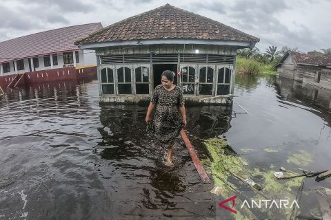 Luapan Sungai Batanghari, Jambi, rendam 1.327 rumah selama dua pekan lebih