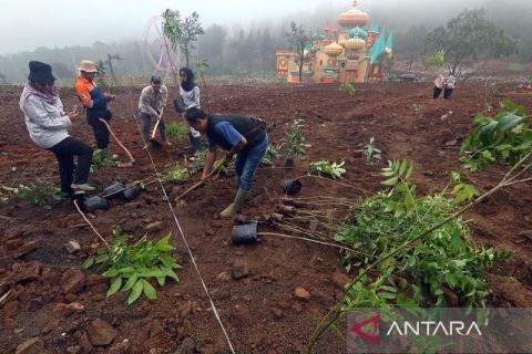 Penanaman pohon untuk mengembalikan keseimbangan alam di kawasan Hibisc Fantasy Puncak