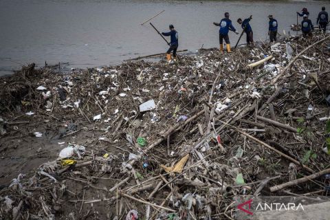 Pembersihan sampah untuk mencegah pendangkalan di Sungai Banjir Kanal Timur Semarang