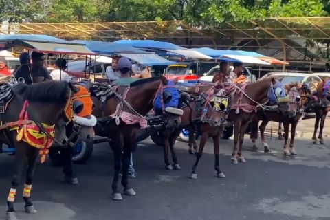 Dedi Mulyadi: Uang kompensasi Becak-Delman dari efisiensi Perjadin ASN