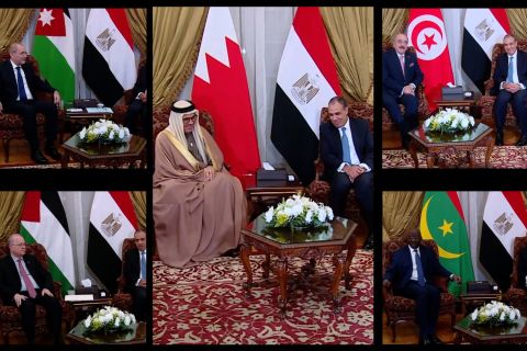 Menlu Mesir bertemu sejumlah menteri negara Arab jelang KTT darurat