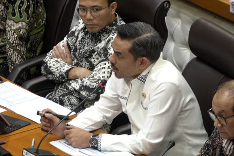 Menteri UMKM: Realisasi KUR 2025 per Maret capai Rp44,73 triliun