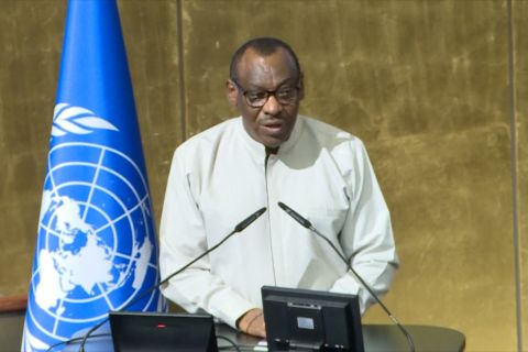 Pemuda Afrika didesak manfaatkan peluang ekonomi dari AfCFTA