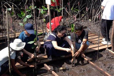 Pengelola Hutan Lindung di Batam ajak turis asing tanam mangrove