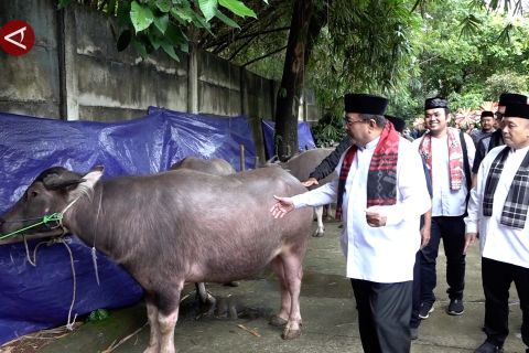 Wagub Jakarta ingin "Andilan Potong Kebo" digelar meluas di Jakarta