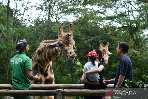 Objek wisata satwa ramai pengunjung saat libur Lebaran