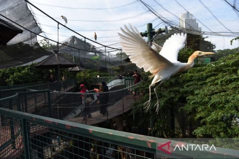 Keseruan libur Lebaran di Jakarta Bird Land