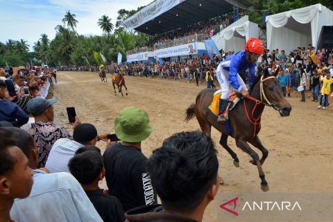 Begini aksi para joki dalam ajang Pacu Kuda di Padang Pariaman