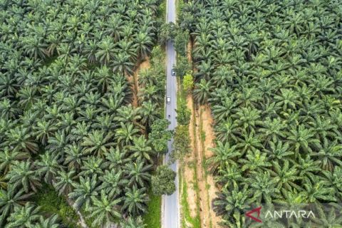 Arus balik jalur alternatif Jambi-Sumbar