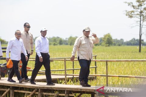 Presiden panen raya padi di Majalengka