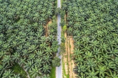 Arus balik jalur alternatif Jambi-Sumbar