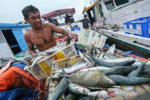 Peningkatan pasar ekspor perikanan Indonesia ke Korea