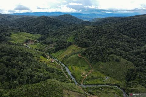 Bentang alam Seko Rongkong menjadi rumah satwa liar anoa