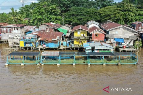 Potensi menggiurkan dari budi daya keramba Ikan air tawar di Sungai Mahakam