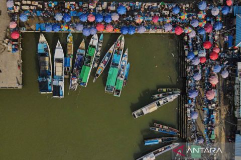 KKP genjot ekspor ikan ke Cina guna meningkatkan ekspor produk perikanan nasional