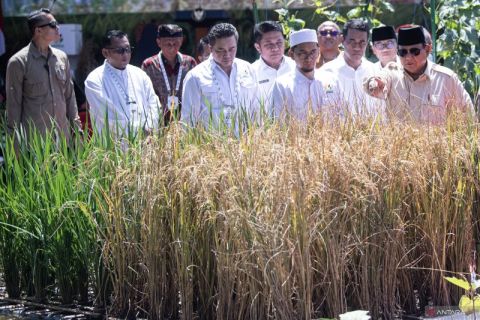 Presiden luncurkan Gerakan Indonesia Menanam