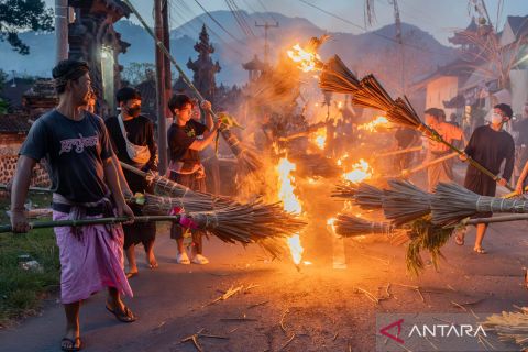 Ritual budaya Ngemumu di Desa Manggis