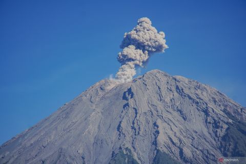 Gunung Semeru erupsi muntahkan kolom abu setinggi 800 meter