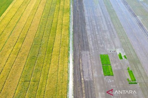 Luas tanam padi Jatim tertinggi nasional, begini potret udara areal persawahan di Jawa Timur