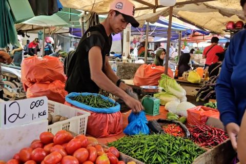 Harga berbagai jenis cabai di Batam alami penurunan