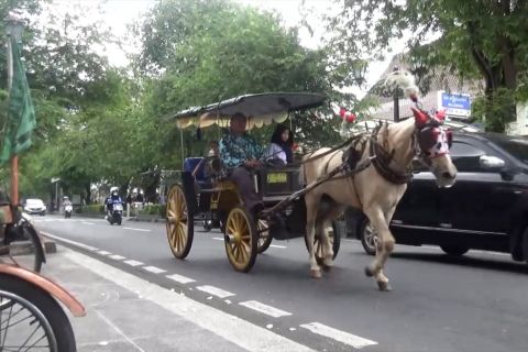 Jadi sumber bau, Pemkot Yogyakarta tertibkan kuda andong Malioboro
