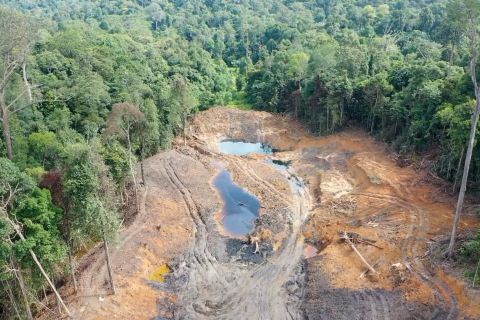 Kawasan hutan pendidikan Unmul diserobot tambang ilegal