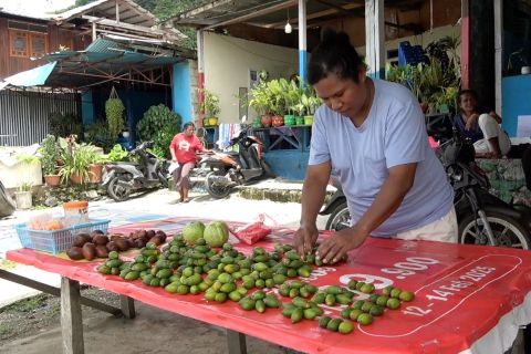 Cerita penjual pinang di Jayapura penerima PKH