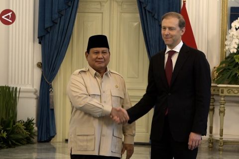 Presiden terima Wakil PM Rusia bahas sejumlah kerja sama strategis