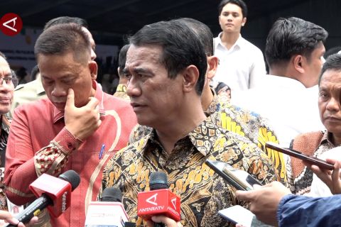 Intervensi kementan atasi anjloknya harga ayam