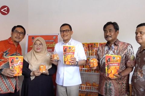 Menteri P2MI tinjau UMKM milik Purna PMI di Kota Binjai