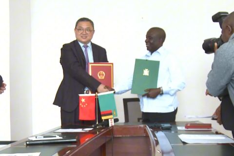 China dan Zambia tandatangani kesepakatan ekspor kacang macadamia