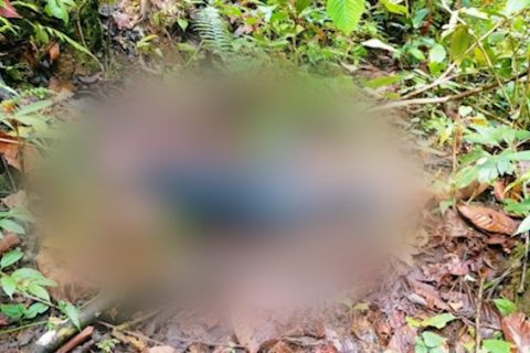 TNI-Polri buru KKB pembunuh pekerja tambang di Yahukimo