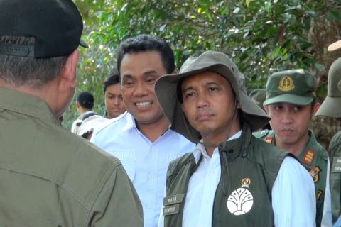 Tinjau TN Sebangau, Menhut ingatkan peran ekosistem gambut bagi dunia
