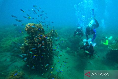 Monitoring zona konservasi terumbu karang Pantai Bangsring
