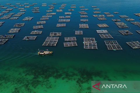 Hilirisasi komoditas laut prioritas upaya mengangkat kesejahteraan masyarakat pesisir