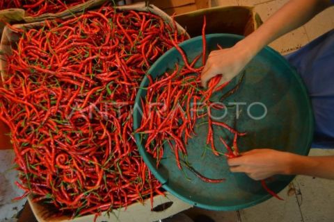 Inflasi Sumatera Barat April 2025 tertinggi Nasional