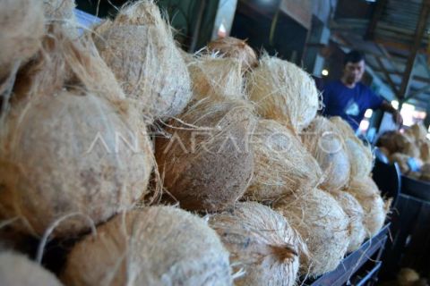 Harga kelapa melambung di Padang