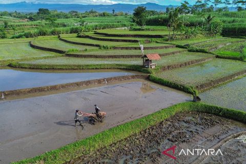 Pemerintah gelontorkan Rp155 triliun untuk anggaran ketahanan pangan