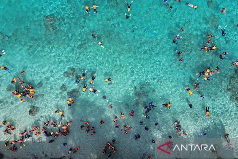 Menikmati surga bawah laut Pulau Rubiah