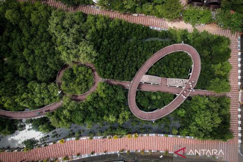 Wisata Ketapang Urban Aquaculture di Tangerang