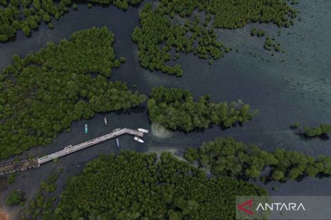 Potensi habitat ekosistem mangrove di Aceh