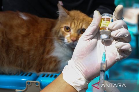 Cegah rabies, hewan peliharaan di Jaksel dapat vaksin gratis dari puskeswan