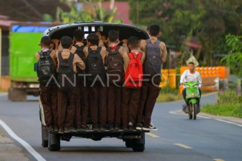 Transportasi cigak baruak di Pesisir Selatan