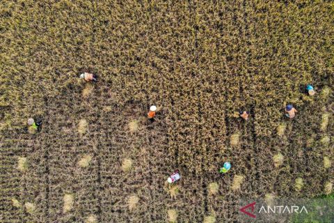 Pertumbuhan ekonomi Jatim triwulan I 2025 lebih tinggi dibanding pertumbuhan ekonomi nasional