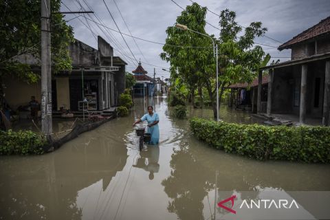 Dua titik tanggul Sungai Tuntang jebol, banjir rendam 11 desa di Demak