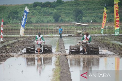 Lomba balap traktor pada awal tanam padi di Batang