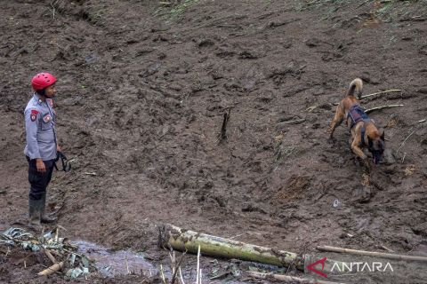 Tim SAR terus lakukan pencarian korban bencana tanah longsor di Lembang meski terkendala cuaca